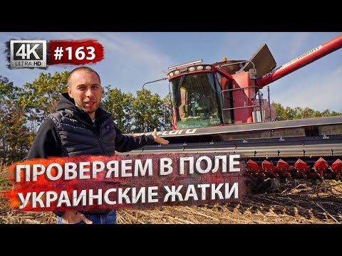 Видео: УБОРКА ПОДСОЛНЕЧНИКА 2021. Тестируем жатки | Итоги уборки