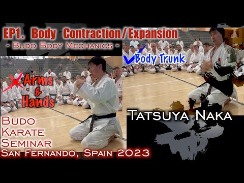 Видео: Семинар по Будо-каратэ Тацуи Наки, Испания, 2023, эпизод 1 «Сокращение и расширение тела»