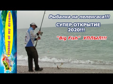 Видео: Рыбалка на пеленгаса!!!СУПЕР ОТКРЫТИЕ сезона 2020!!!"Big Fish" пока не мой!!!