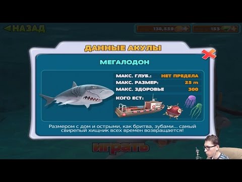 Видео: Прохождение HUNGRY SHARK EVOLUTION 6 - МЕГАЛОДОН [Megalodon]