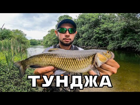 Видео: За ПЪРВИ ПЪТ на  РЕКА ТУНДЖА. РИБОЛОВ на КЕФАЛ и КОСТУР