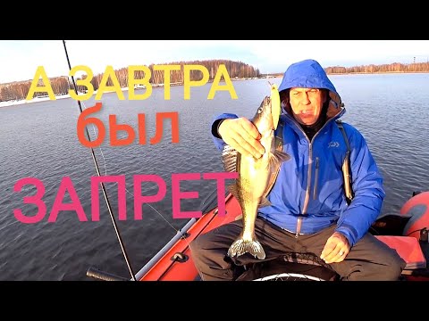 Видео: Судак на воблер перед нерестовым запретом !!! Клевало как на Чёрных камнях !!!