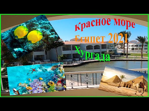 Видео: Египет 2021 Хургада Dana Beach Resort с детьми.Успели до снегопада