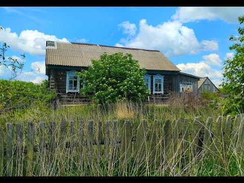 Видео: Покинутые деревни ТРОЙНЯ, ОРЛОВКА, ОЛЬШАНКА. Заброшенные деревни Мордовии и Пензенской области.