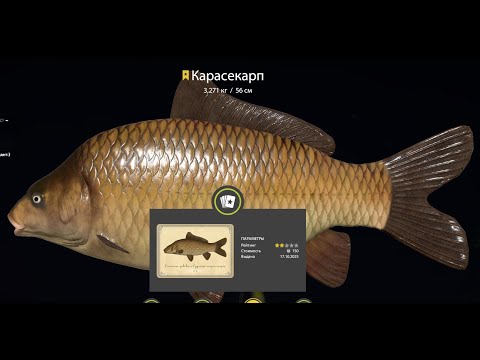 Видео: Русская Рыбалка 4. Медное !!!