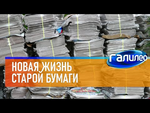 Видео: Галилео 📚 Переработка макулатуры