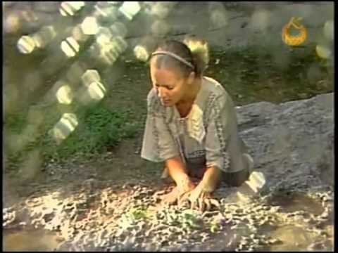 Видео: София Ротару - Вiдлуння вiрностi