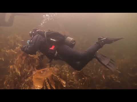 Видео: 2023 09 Белое море