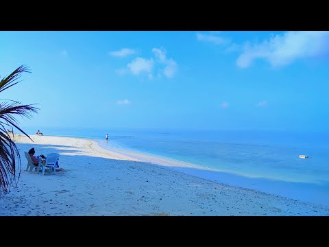 Видео: Локальный остров Укулас (Ukulhas). #Мальдивы