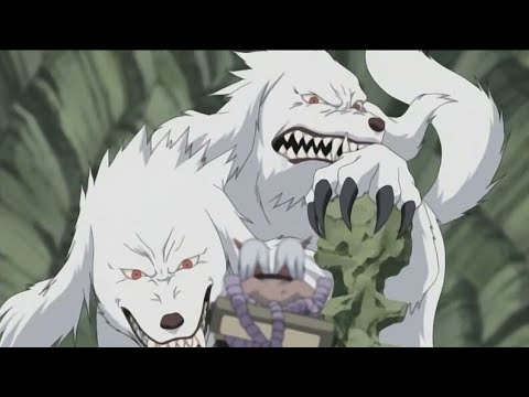 Видео: Киба и Канкуро против Сакона и Укона