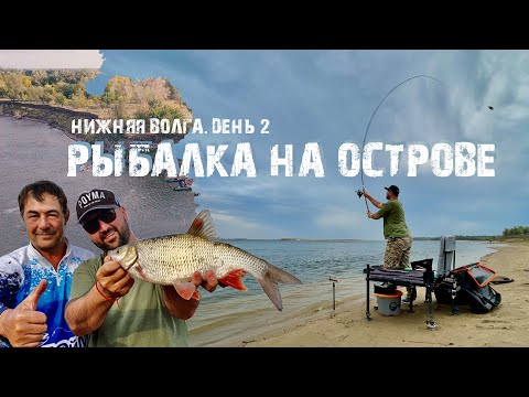 Видео: Рыбалка на ЯЗЯ! Осенняя рыбалка на Нижней Волге_день2