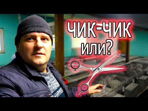 Видео: КАСТРАЦИЯ, САМКА НЕ КОРМИТ, РЕМОНТ!