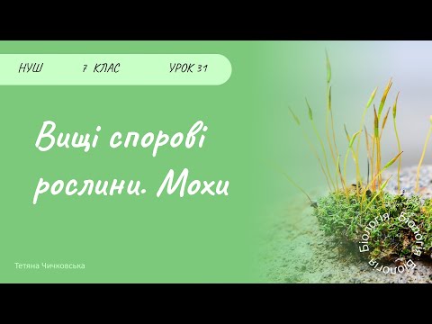 Видео: Вищі спорові рослини. Мохи