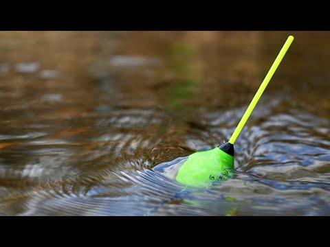 Видео: РЕЧЕН РИБОЛОВ с БОЛОНЕЗА 6м - СУПЕР ИЗНЕНАДАН ОСТАНАХ от РИБИТЕ - Float Fishing on River
