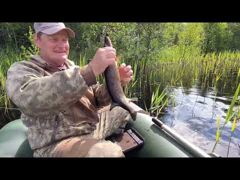 Видео: Озеро Березовское.Щучья охота