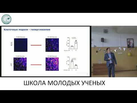 Видео: Роль митохондриальной дисфункции в развитии сахарного диабета Белослудцев Константин Николаевич