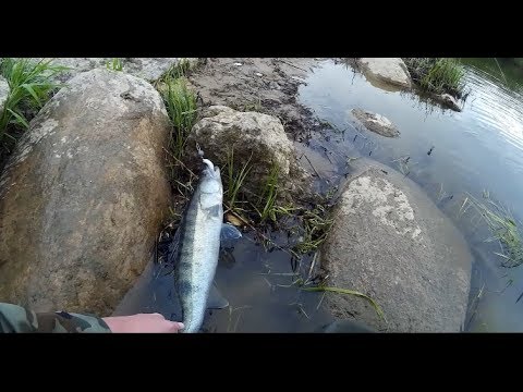 Видео: Судак. Развилка Неман Советск Калининградская Область.