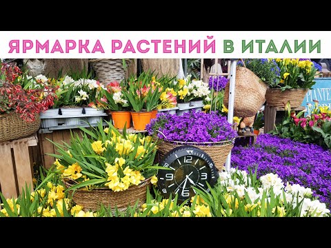 Видео: ⭐ТАКОЙ ВЫСТАВКИ РАСТЕНИЙ вы точно нигде не увидите! Скупила бы все I AgriUmbria 2025