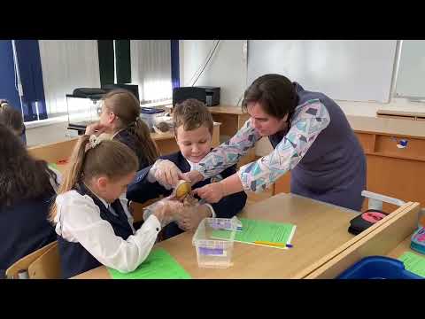 Видео: Формирование функциональной грамотности на уроках биологии