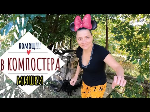 Видео: Мишки в компостера и в градината. Варианти и идеи как да се справим с това предизвикателство.