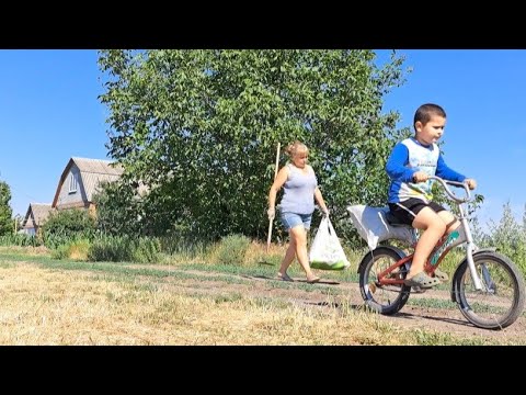 Видео: Теперь смотрим в оба! работают воры