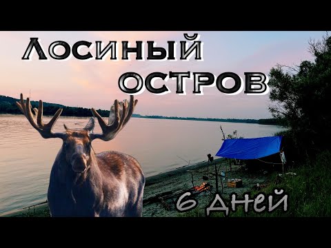 Видео: Лосиный остров. Смогу ли продержаться 6 дней? Рыбалка