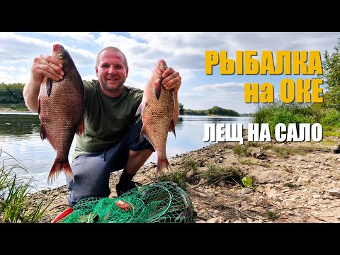 Видео: РЫБАЛКА на ОКЕ. ЛЕЩ на САЛО. Донка-Фидер