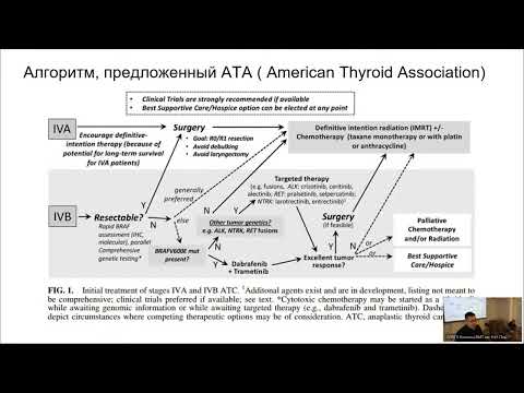Видео: Алгоритм выбора терапии у пациентов с низкодифференцированным немедуллярным раком щитовидной железы.