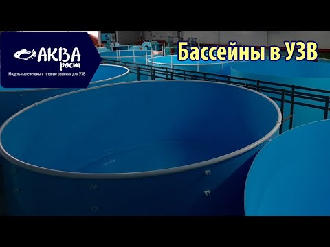 Видео: Какие делать бассейны в УЗВ #система #узв #рыба #акварост #форель #бассейн