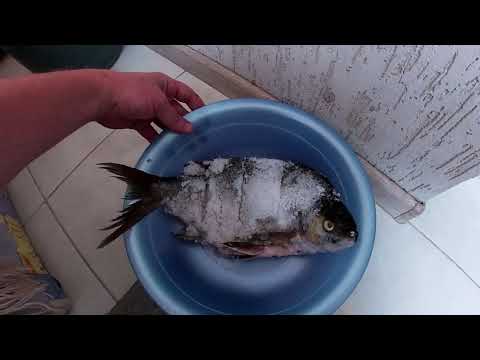 Видео: Відпочинок і рибалка в Хрінниках. База ''Перлина,, 12-13.07.23.