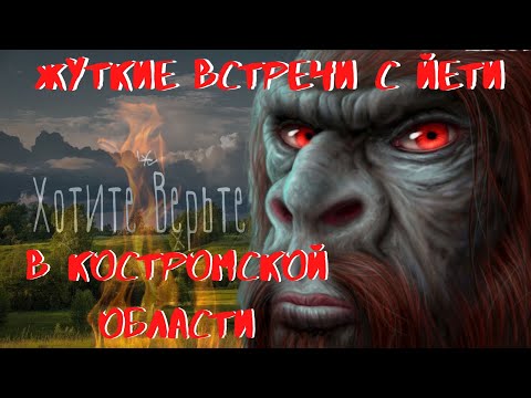 Видео: Жуткие встречи с Йети.В Костромской области.Взгляд Йети проникает в душу и вселяет дикий ужас.
