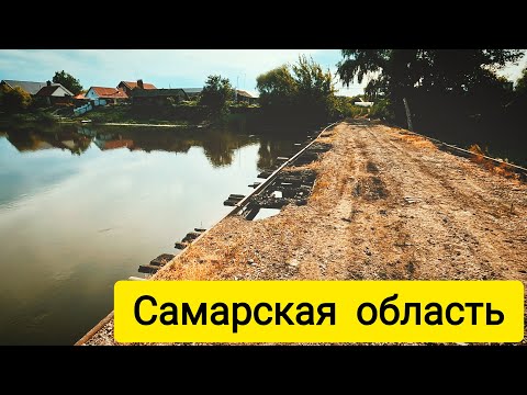 Видео: Лесной коп