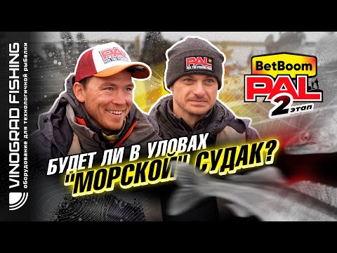 Видео: BetBoom PAL 2025 |  Будет ли в уловах "морской" судак?