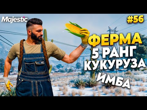 Видео: ФЕРМЕР 5 РАНГА,  КУКУРУЗА СТОИТ ДЕНЕГ! ВЫРАСТИЛ ГРИН НА MAJESTIC RP / GTA 5 RP.  ПРОМО - TAXI