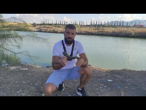 Видео: Вечерний поплавок на речке. Мушт Фуга Бури и Тарахун