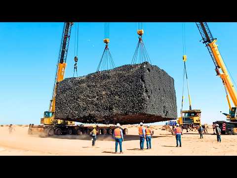 Видео: Миллиарды саранчи выпущены в африканскую пустыню. То, что произошло дальше, поразит вас