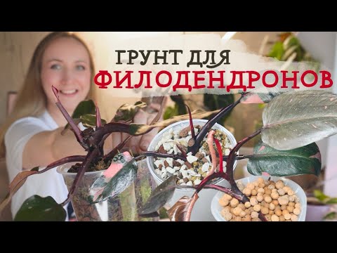 Видео: ГРУНТ для филодендронов и монстеры  |  Мои ЭКСПЕРИМЕНТЫ 💚 |  Пробую ГИДРОПОНИКУ