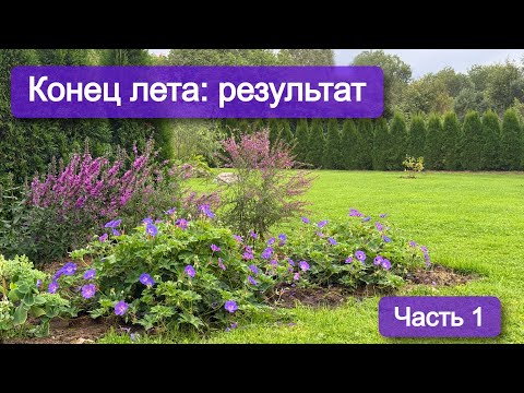 Видео: Что стало с растениями к концу лета после моих пересадок и стрижек