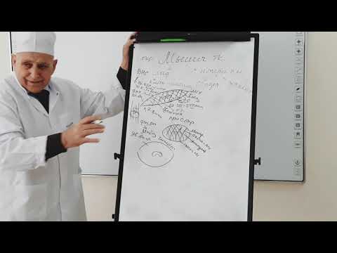 Видео: Гистология. Мышечная ткань. Садриддинов А.Ф.                          #гистология#ТашПМИ#