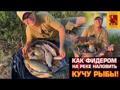 Видео: КАК ФИДЕРОМ НА РЕКЕ ПОЙМАТЬ КУЧУ РЫБЫ