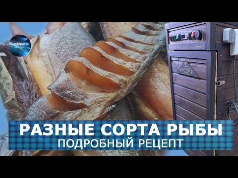 Видео: Подробная инструкция по приготовлению. Кижуч, лосось, кефаль, сазан, сом, судаки. Холодное копчение.