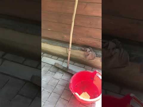 Видео: Укладка тротуарной плитки и ее пропитка