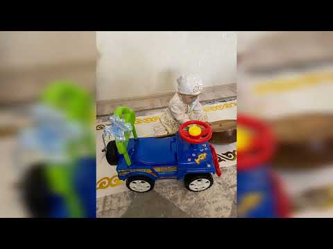 Видео: Дамир тусау кесу
