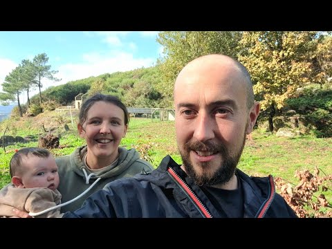 Видео: Мы всегда хотели это сделать!