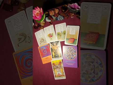 Видео: Карта дня на 4 ноября 2025 года!