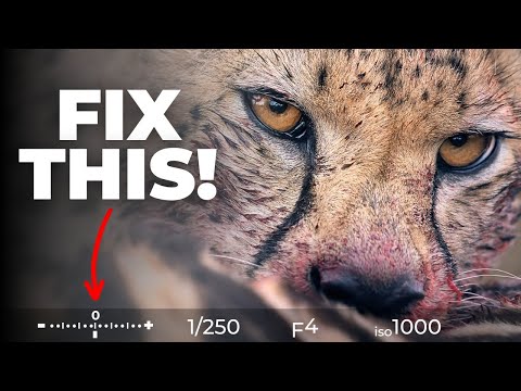 Видео: 99% новичков ошибаются в экспозиции. Вот почему!