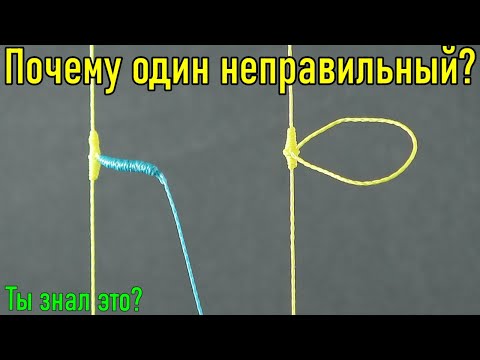 Видео: НЕ ДЕЛАЙТЕ ТАК КАК ВСЕ! Научитесь уже правильно привязывать боковой поводок. Не наступайте на грабли