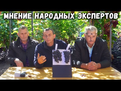 Видео: Юпитер или Ютал ? Оценка независимых, народных экспертов!