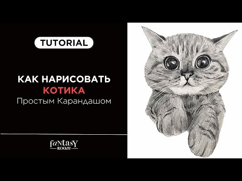 Видео: Как нарисовать котика простым карандашом