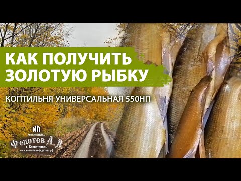 Видео: Как из обычной рыбки получить ЗОЛОТУЮ. Опыт Коптильщика.  Коптильни ИП Федотов А. В.